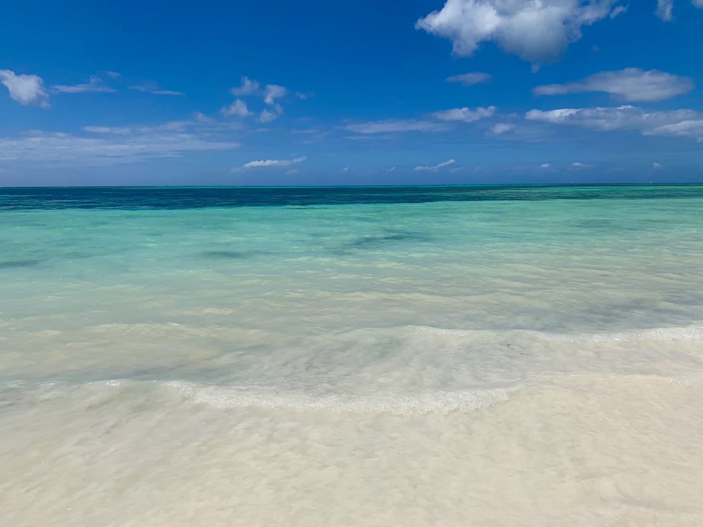 Palms and turquoise shallows on the beach at Kiwengwa, Zanzibar