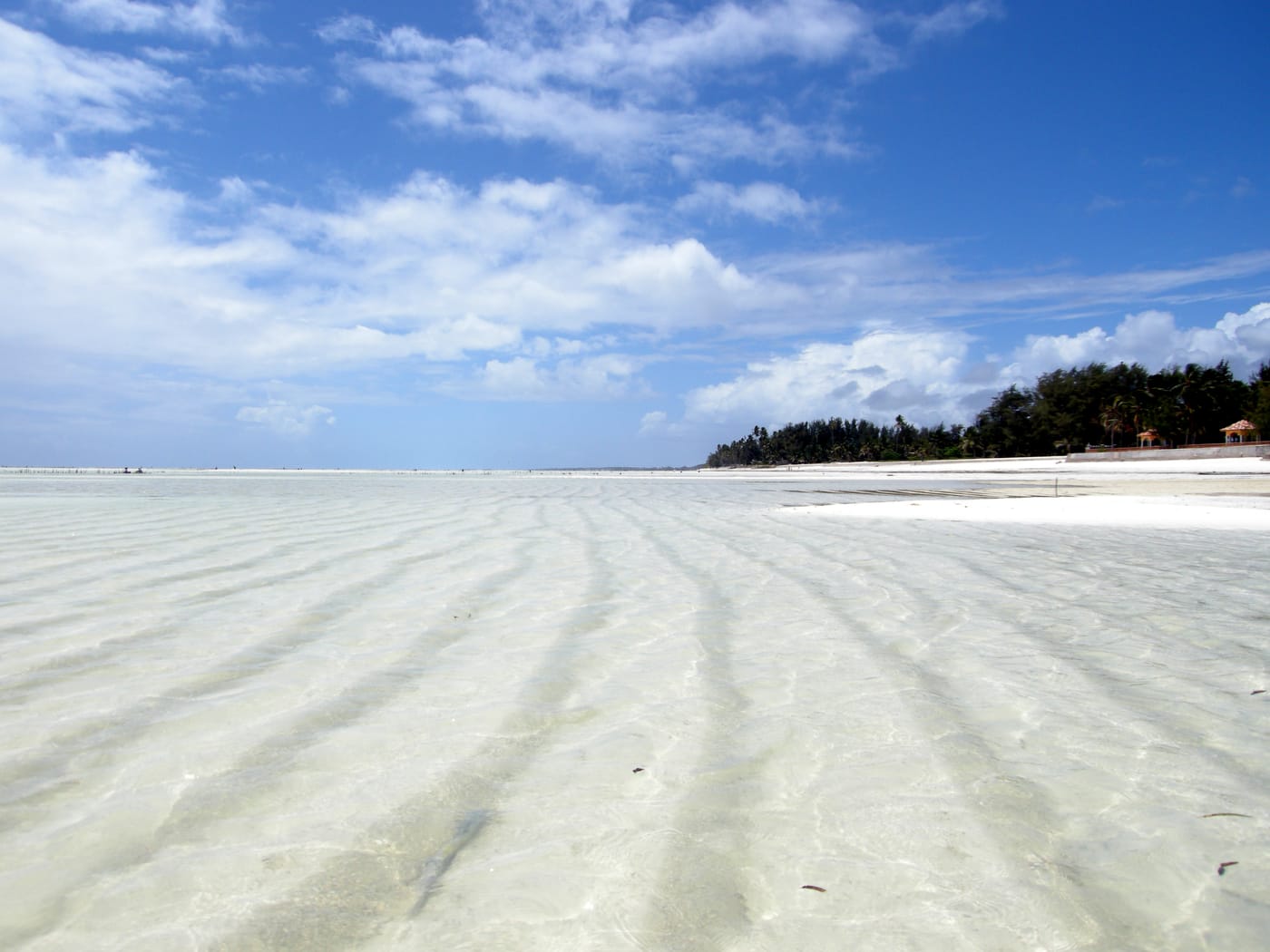 A wide white beach with kitesurfers at Paje on the east coast of Zanzibar