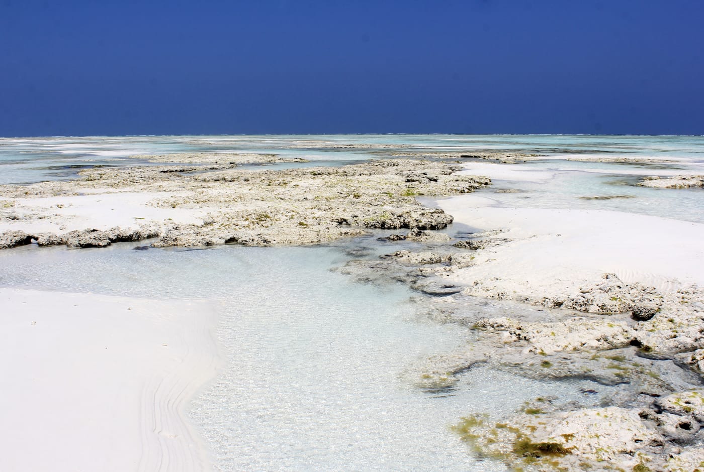 A sandy village track lined with palms in northern Zanzibar