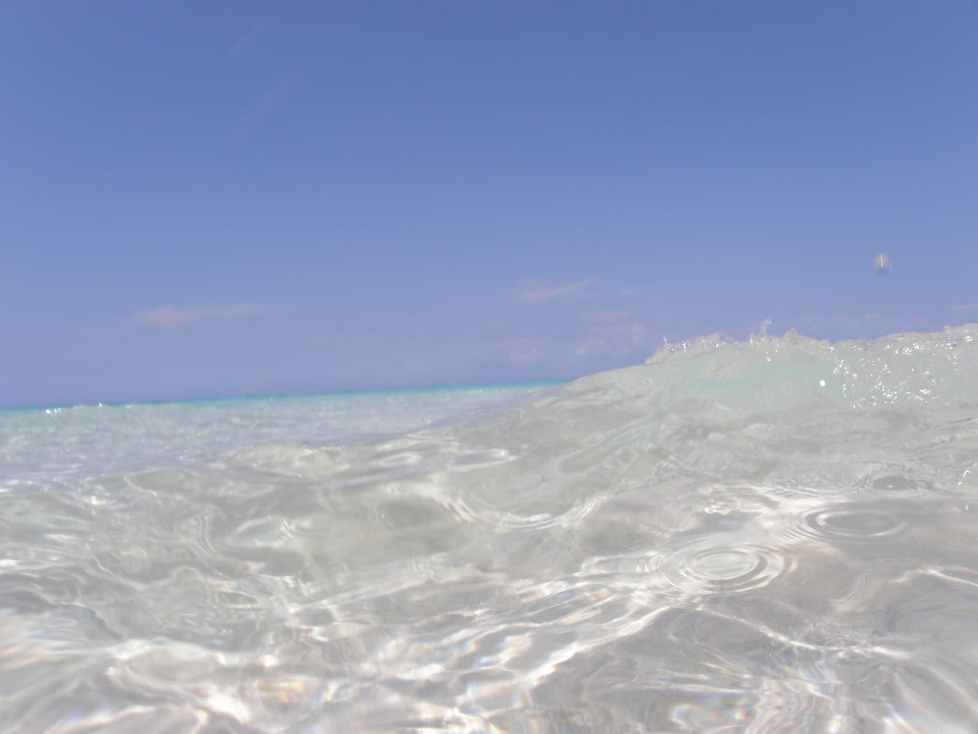 Starfish in shallow water on a white sandbank off Zanzibar